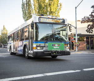 ltd-bus-on-street