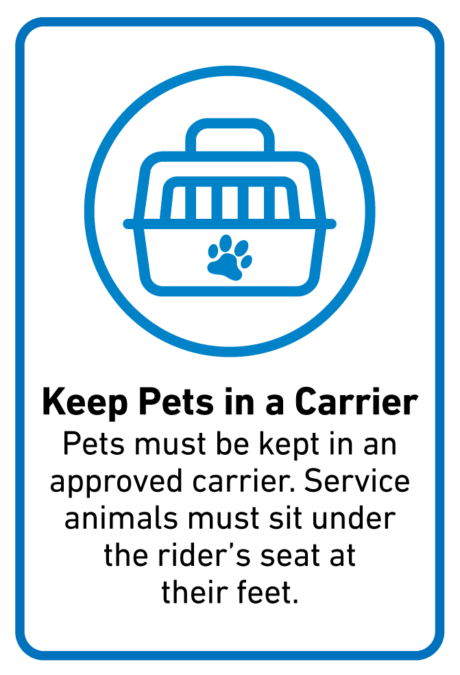 Keep Pets in a Carrier   Pets must be kept in an approved carrier. Service animals must sit under the rider’s seat at their feet.