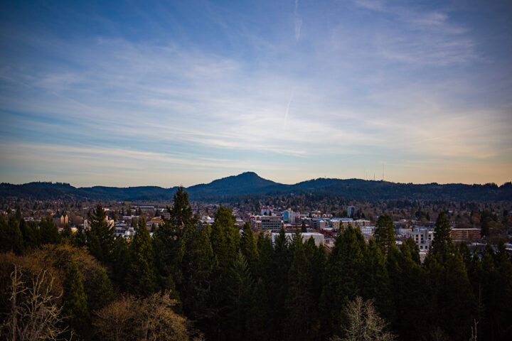 Cityscape with buildings partially visible through dense evergreen trees, set against a backdrop of hills under a mostly clear sky at dusk.